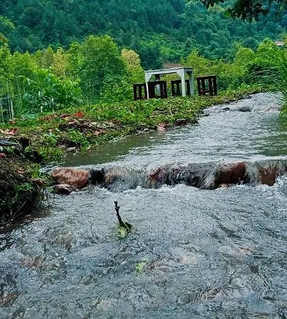Tatil Evi Sapancabentbungalov *